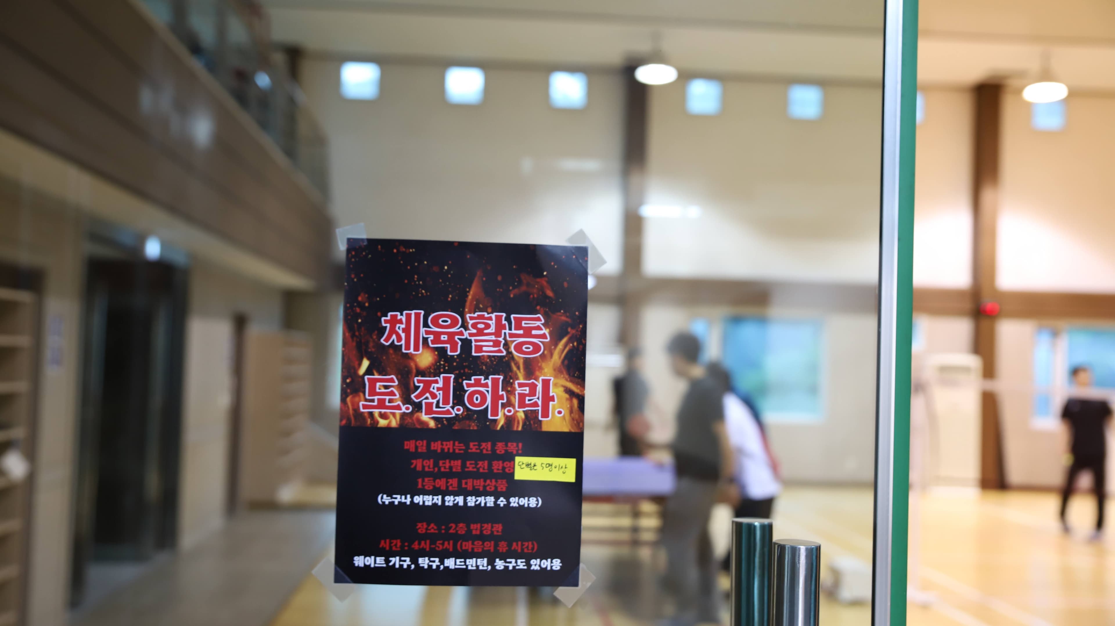 훈련 프로그램 활동